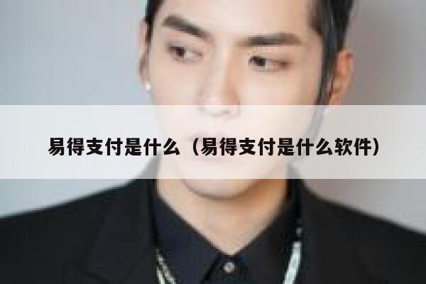 易得支付是什么（易得支付是什么软件） 第1张