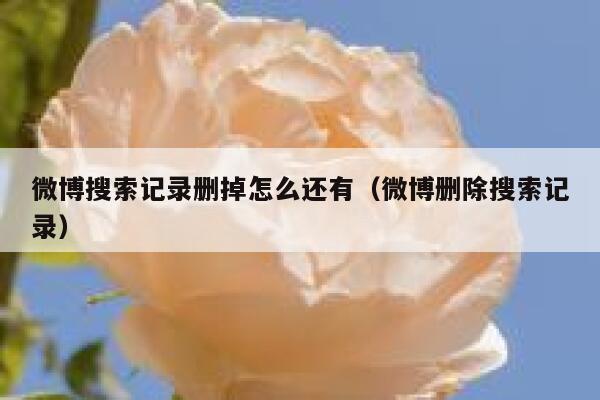 微博搜索记录删掉怎么还有（微博删除搜索记录） 第1张