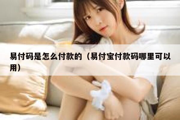 易付码是怎么付款的（易付宝付款码哪里可以用） 第1张