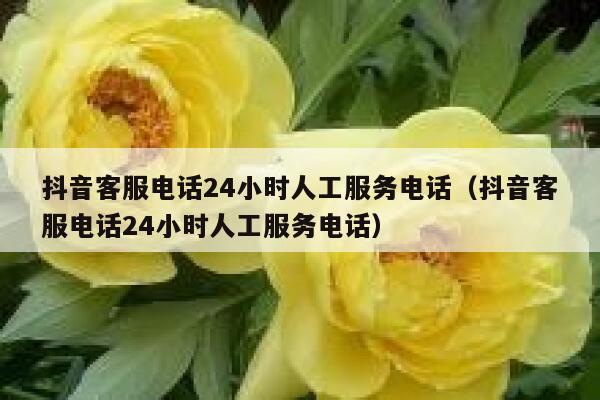 抖音客服电话24小时人工服务电话（抖音客服电话24小时人工服务电话） 第1张
