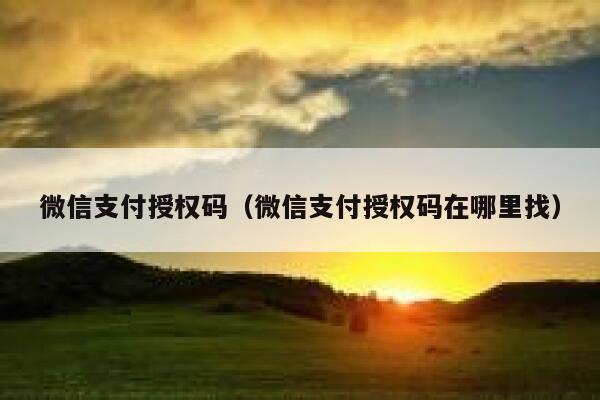 微信支付授权码（微信支付授权码在哪里找） 第1张