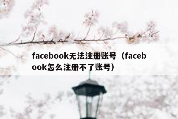 facebook无法注册账号（facebook怎么注册不了账号） 第1张