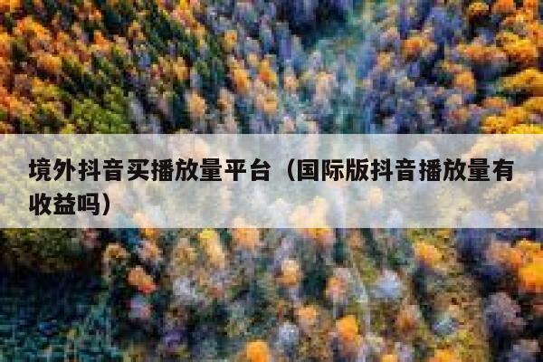 境外抖音买播放量平台（国际版抖音播放量有收益吗） 第1张