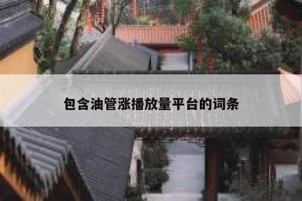 包含油管涨播放量平台的词条 第1张