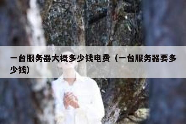 一台服务器大概多少钱电费（一台服务器要多少钱） 第1张