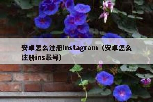 安卓怎么注册Instagram（安卓怎么注册ins账号） 第1张