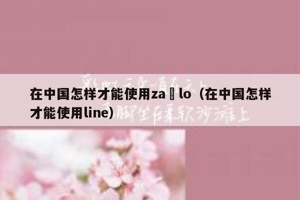在中国怎样才能使用za lo（在中国怎样才能使用line） 第1张
