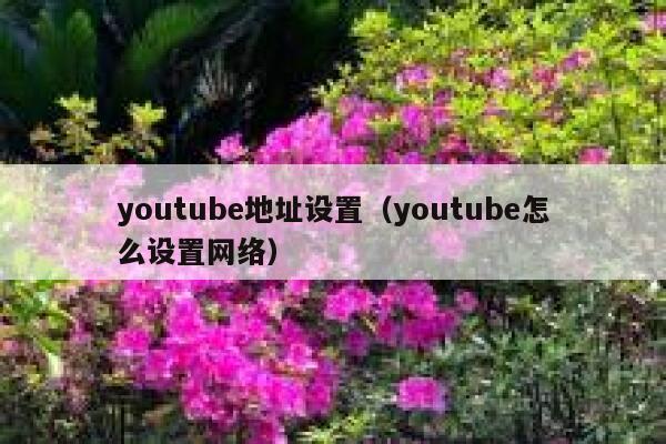 youtube地址设置（youtube怎么设置网络） 第1张