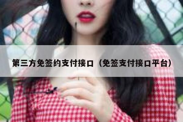 第三方免签约支付接口（免签支付接口平台） 第1张
