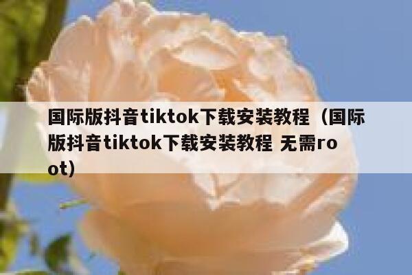国际版抖音tiktok下载安装教程（国际版抖音tiktok下载安装教程 无需root） 第1张