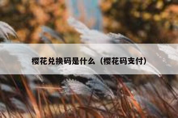 樱花兑换码是什么（樱花码支付） 第1张
