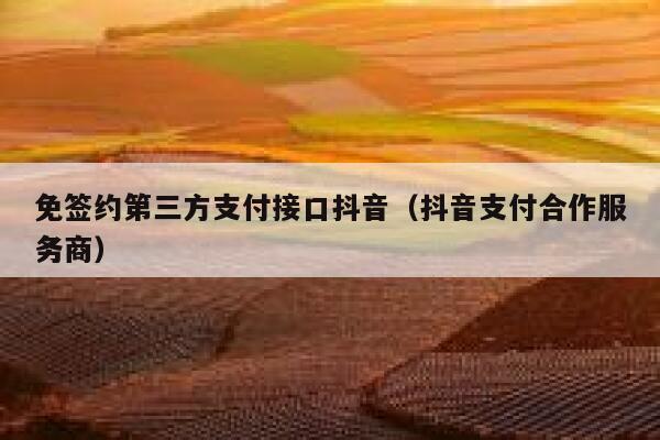 免签约第三方支付接口抖音（抖音支付合作服务商） 第1张