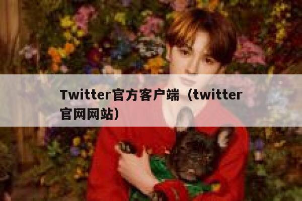 Twitter官方客户端（twitter官网网站） 第1张