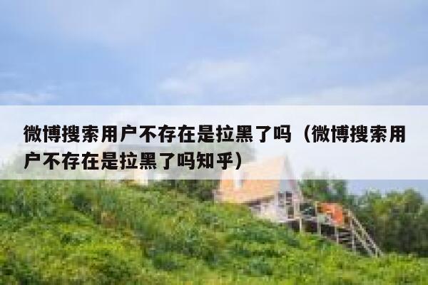 微博搜索用户不存在是拉黑了吗（微博搜索用户不存在是拉黑了吗知乎） 第1张