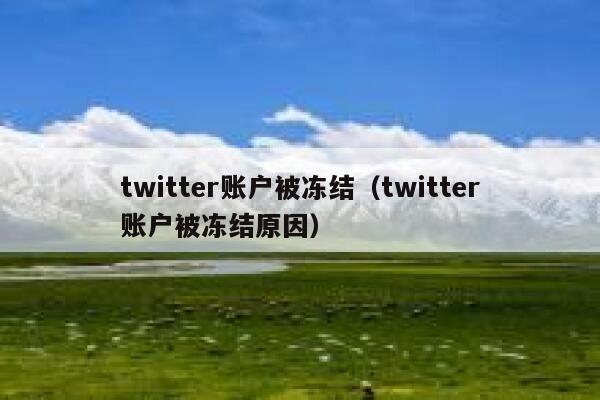 twitter账户被冻结（twitter账户被冻结原因） 第1张
