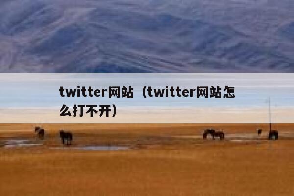 twitter网站（twitter网站怎么打不开） 第1张
