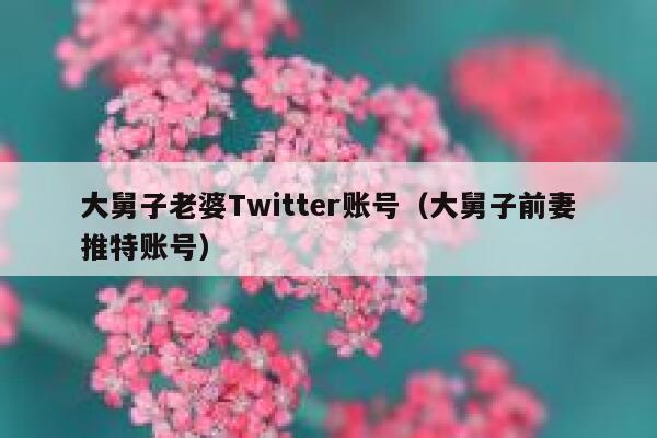 大舅子老婆Twitter账号（大舅子前妻推特账号） 第1张