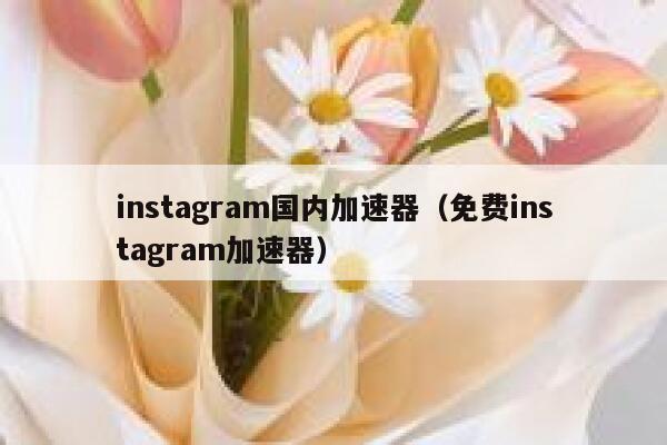 instagram国内加速器（免费instagram加速器） 第1张