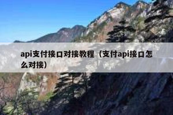 api支付接口对接教程（支付api接口怎么对接） 第1张