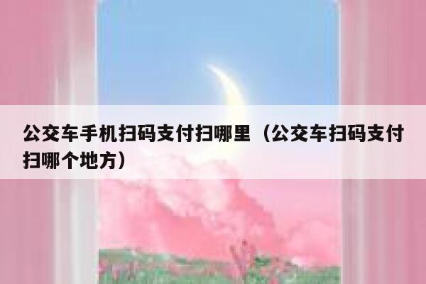 公交车手机扫码支付扫哪里（公交车扫码支付扫哪个地方） 第1张