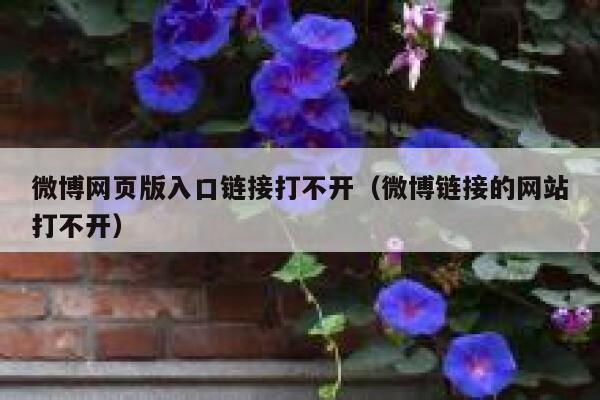 微博网页版入口链接打不开（微博链接的网站打不开） 第1张