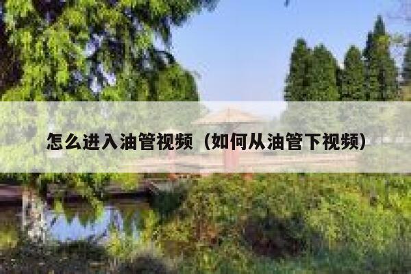 怎么进入油管视频（如何从油管下视频） 第1张