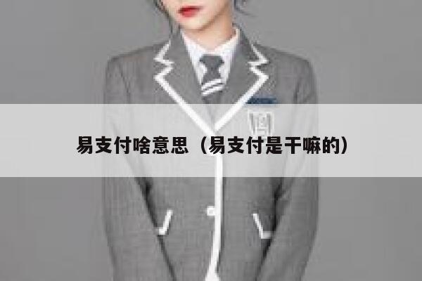 易支付啥意思（易支付是干嘛的） 第1张