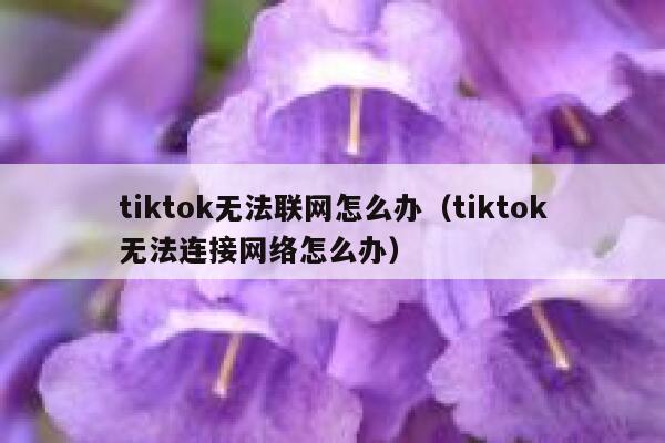 tiktok无法联网怎么办（tiktok无法连接网络怎么办） 第1张