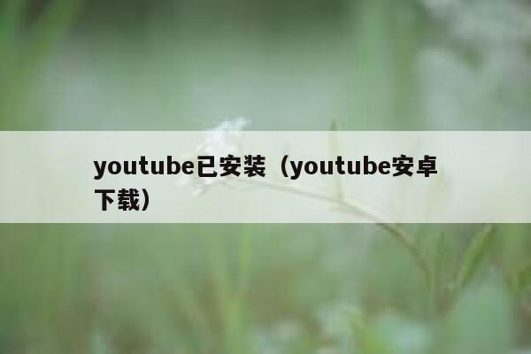 youtube已安装（youtube安卓下载） 第1张