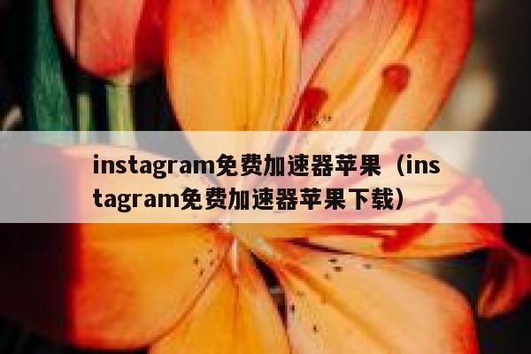 instagram免费加速器苹果（instagram免费加速器苹果下载） 第1张
