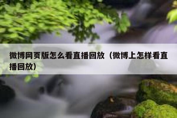 微博网页版怎么看直播回放（微博上怎样看直播回放） 第1张