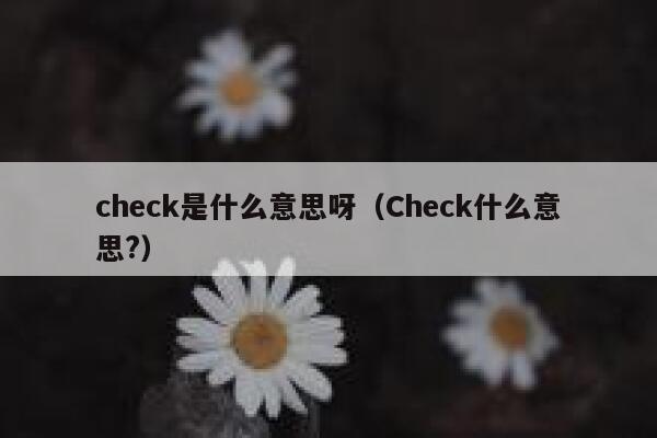 check是什么意思呀（Check什么意思?） 第1张