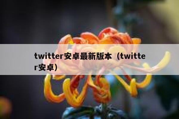 twitter安卓最新版本（twitter安卓） 第1张