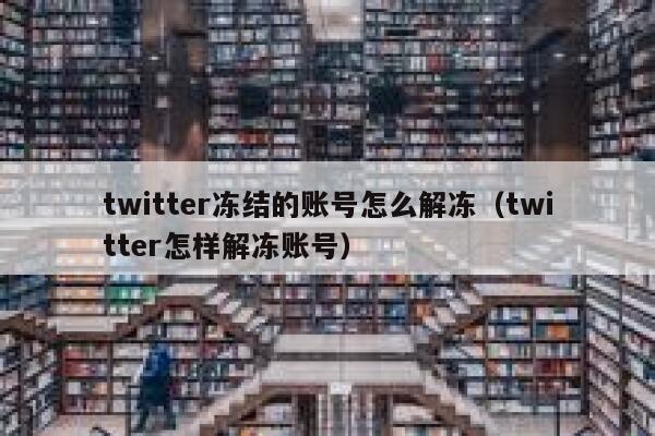 twitter冻结的账号怎么解冻（twitter怎样解冻账号） 第1张
