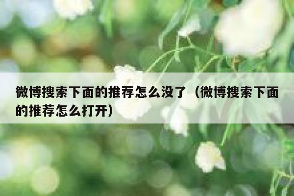 微博搜索下面的推荐怎么没了（微博搜索下面的推荐怎么打开） 第1张