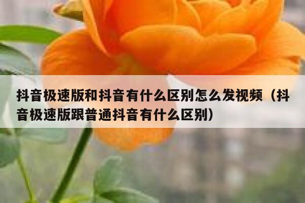 抖音极速版和抖音有什么区别怎么发视频（抖音极速版跟普通抖音有什么区别） 第1张