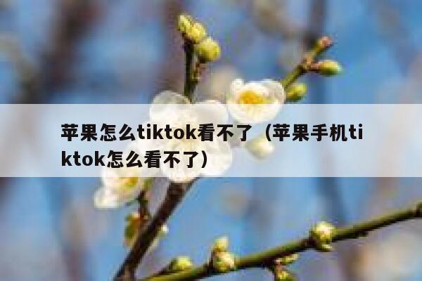 苹果怎么tiktok看不了（苹果手机tiktok怎么看不了） 第1张