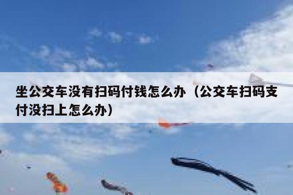 坐公交车没有扫码付钱怎么办（公交车扫码支付没扫上怎么办） 第1张