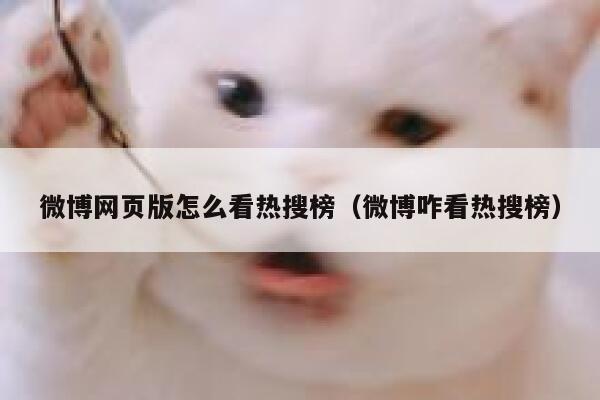 微博网页版怎么看热搜榜（微博咋看热搜榜） 第1张