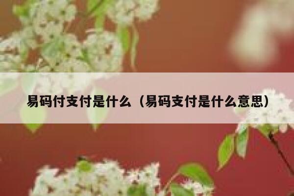 易码付支付是什么（易码支付是什么意思） 第1张