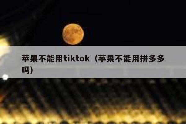 苹果不能用tiktok（苹果不能用拼多多吗） 第1张