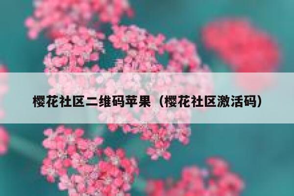 樱花社区二维码苹果（樱花社区激活码） 第1张