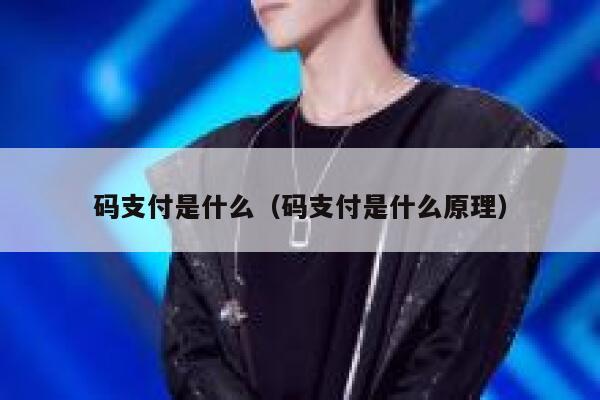 码支付是什么（码支付是什么原理） 第1张