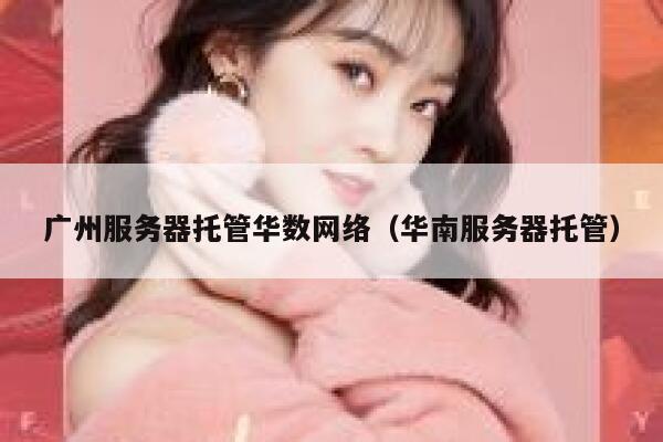 广州服务器托管华数网络（华南服务器托管） 第1张