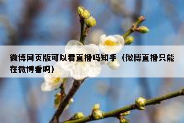 微博网页版可以看直播吗知乎（微博直播只能在微博看吗） 第1张