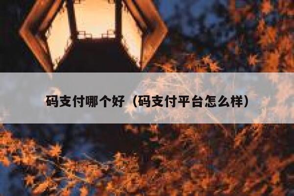 码支付哪个好（码支付平台怎么样） 第1张