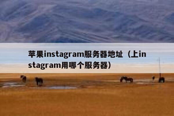 苹果instagram服务器地址（上instagram用哪个服务器） 第1张