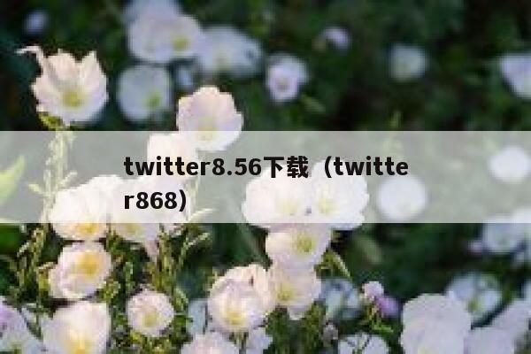 twitter8.56下载（twitter868） 第1张