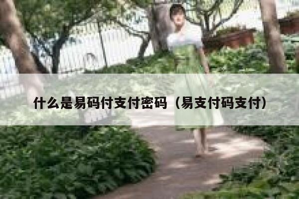 什么是易码付支付密码（易支付码支付） 第1张