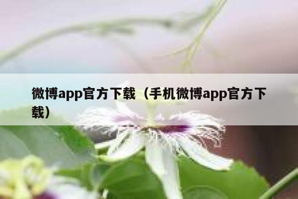 微博app官方下载（手机微博app官方下载） 第1张